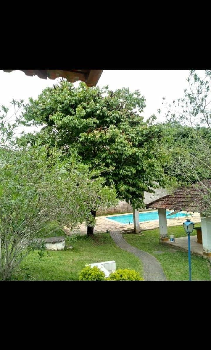 A lush green landscape features a sizable tree near a path that leads to a swimming pool. Surrounding foliage adds to the natural setting, with a few structures in view providing shaded gathering spaces. The area offers a serene and inviting atmosphere.