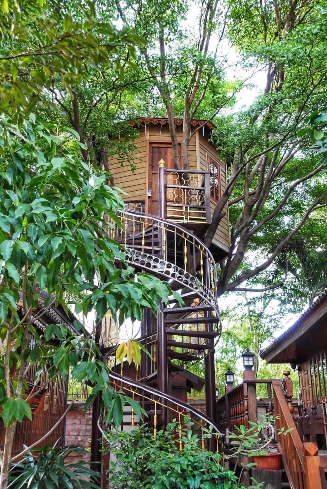 A spiral staircase leads up to a charming tree house nestled among lush green foliage. The wooden structure features large windows and a balcony, integrated seamlessly with the surrounding trees. Lanterns are positioned along the staircase, adding a soft glow to the natural setting.