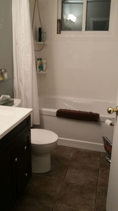 Private guest bathroom