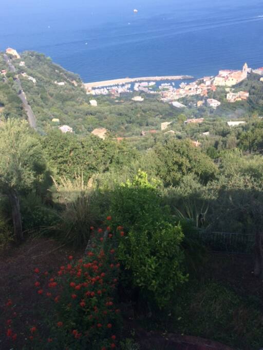 Garden and harbor views