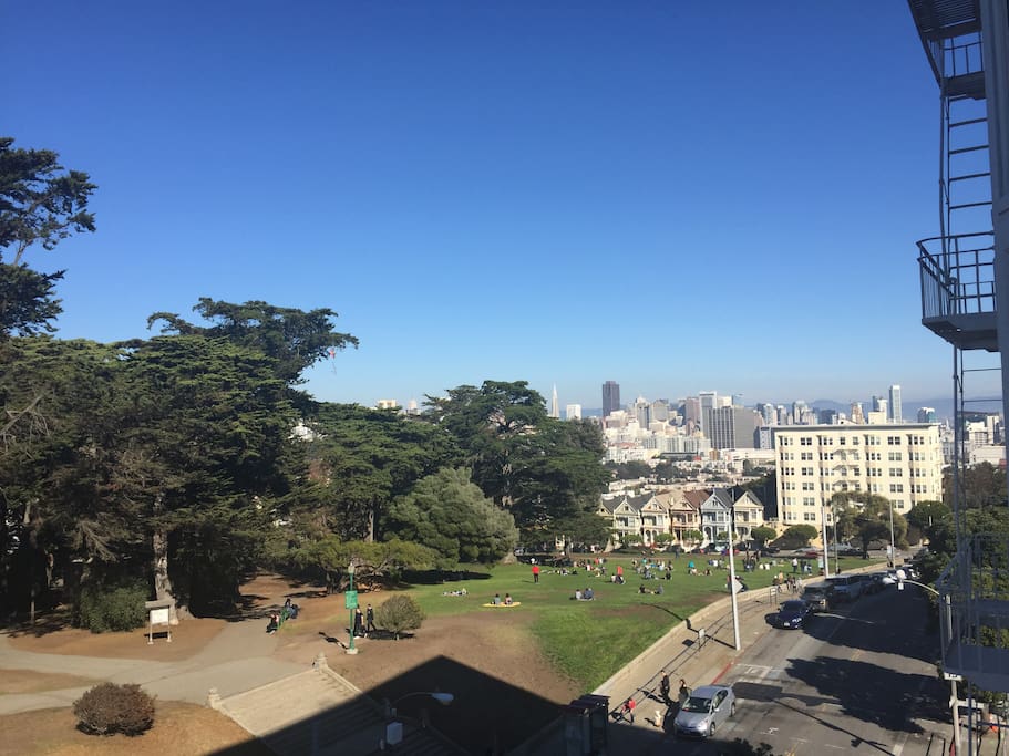 View of Alamo Square and the Painted Ladies.