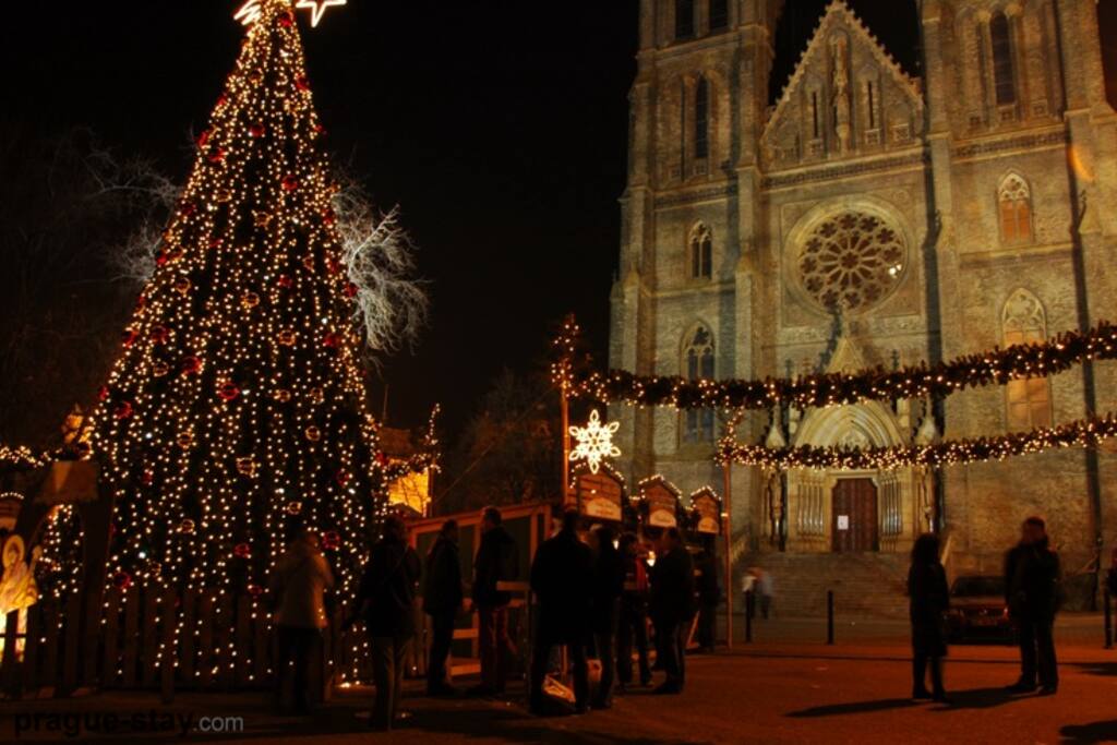 Christmas market and XMas tree straight on the square