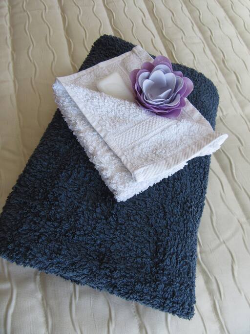 towel, flannel and soap provided