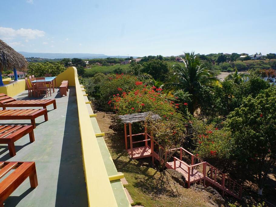 Rooftop view
