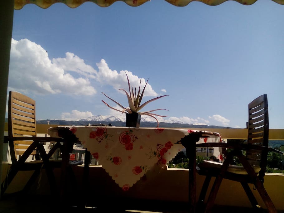 view from veranda of the liningroom