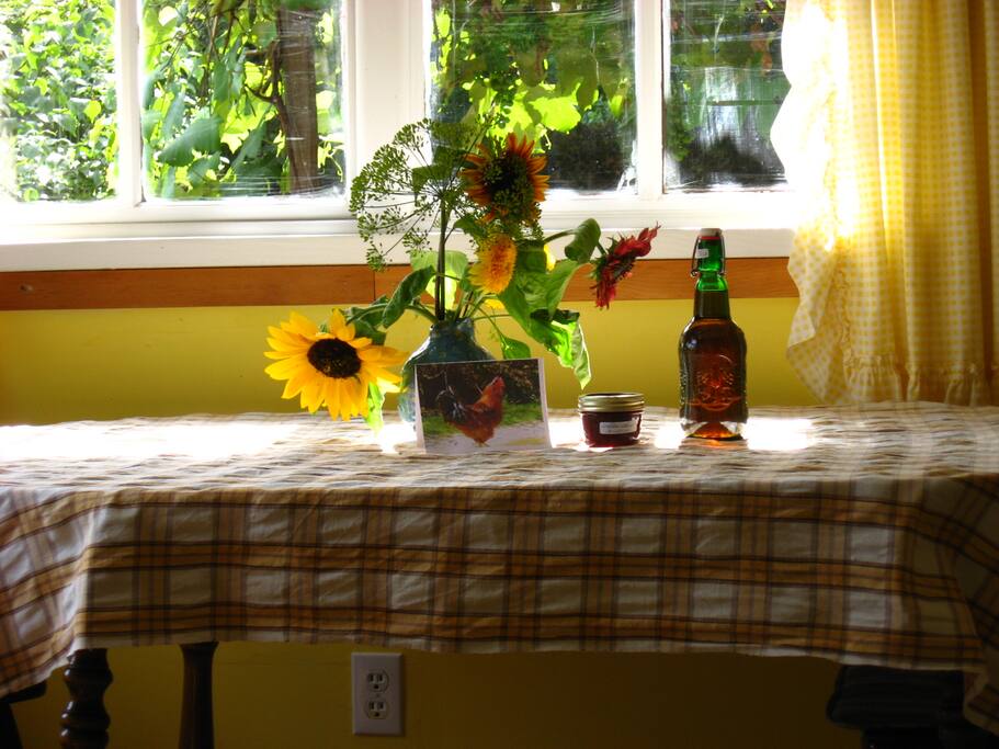 Welcome to Bold Point Farmstay