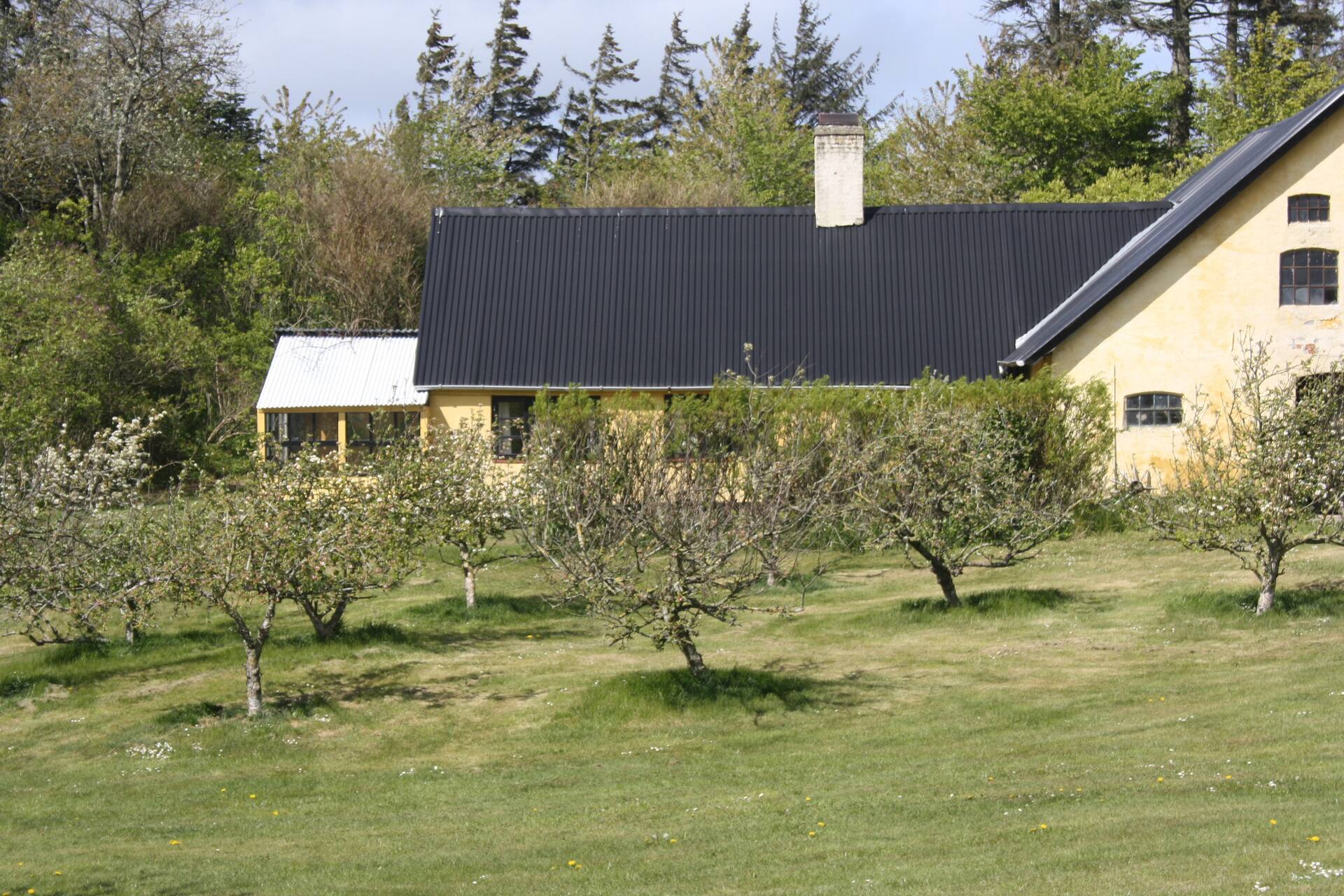 Older houses from the 1900s.