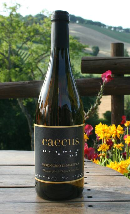#caecus il nostro Verdicchio di Matelica DOC