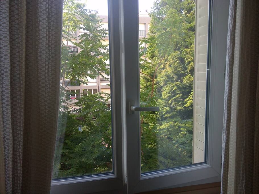 La vue de la chambre (cour intérieure, très calme)