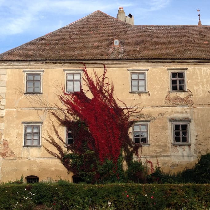 Die Fassade "blutet"...