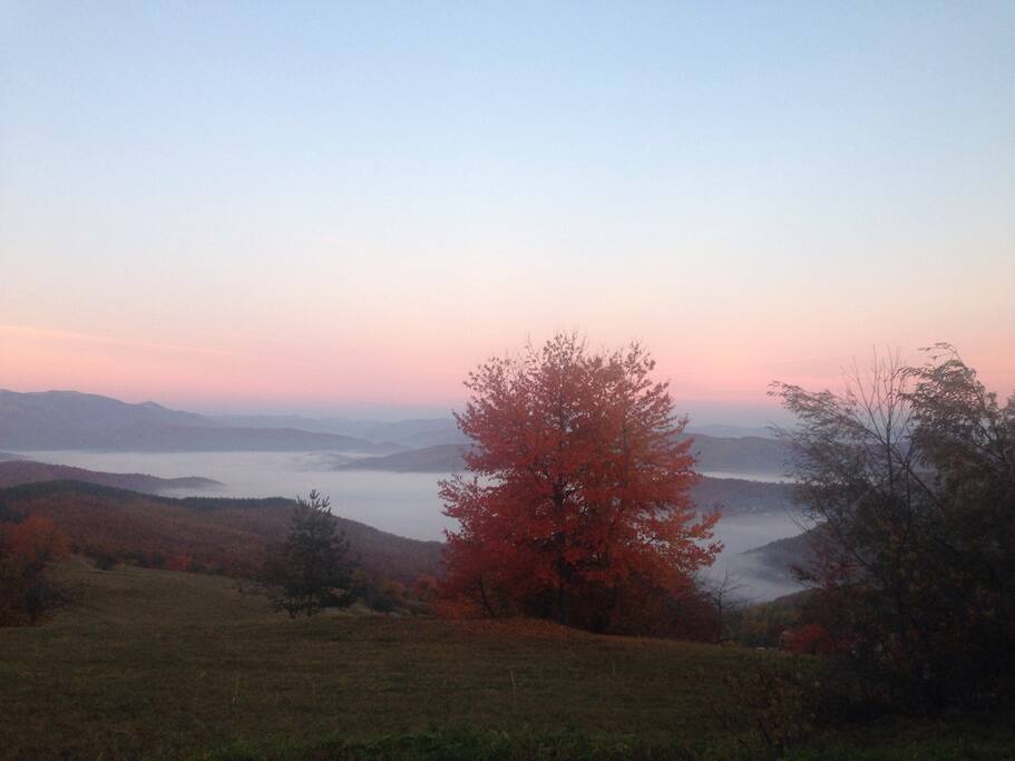 Die ausicht Herbst in Nebel