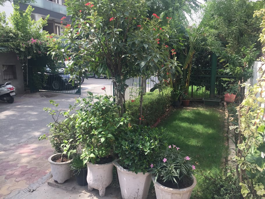 A safe gated colony with calm environment and greenry