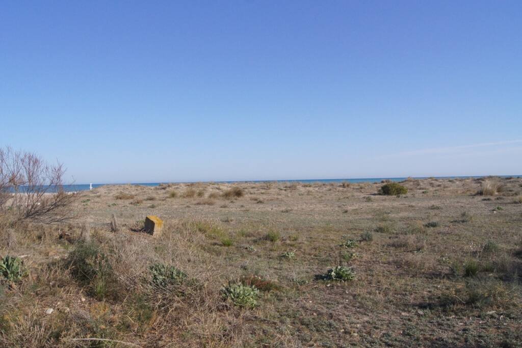 Vistas desde el jardín