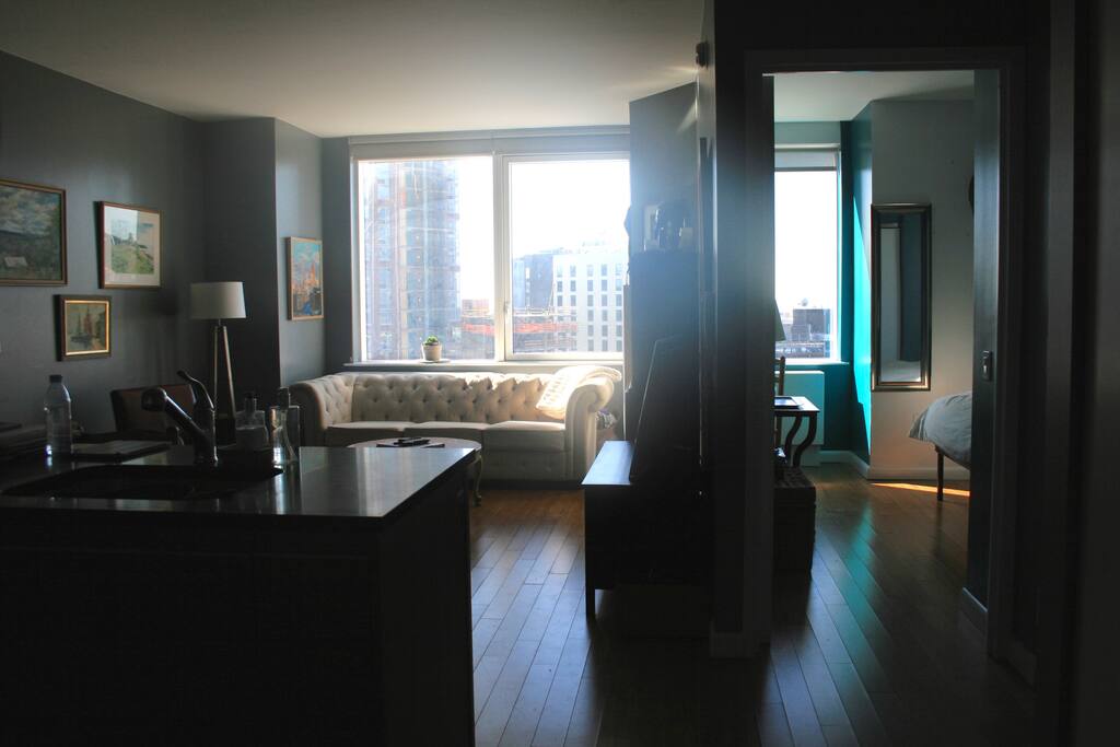 COMMON LIVING ROOM WITHIN APT