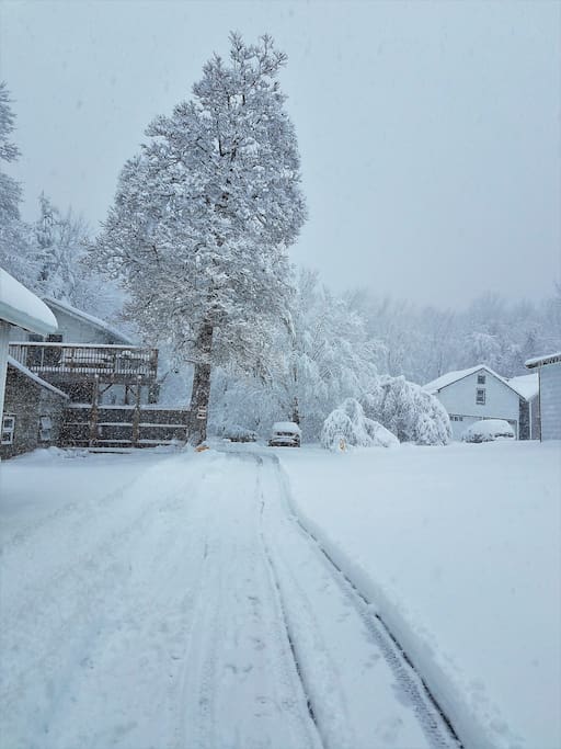 Driveway