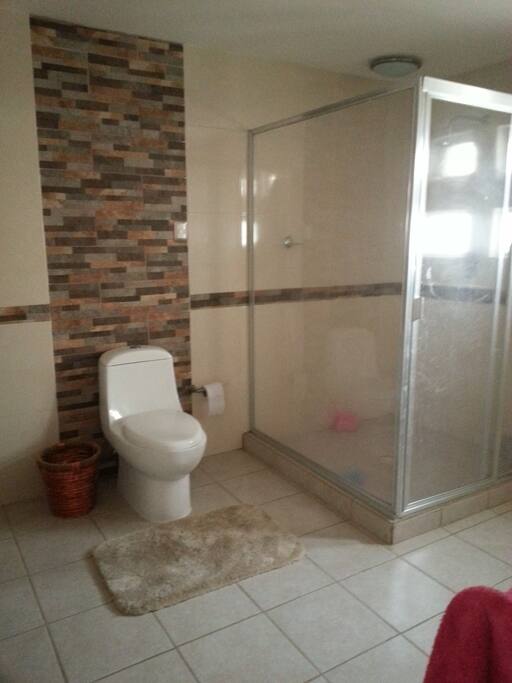 Ducha en baño, anexo a recámara principal