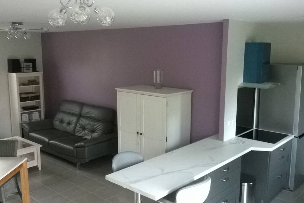 Pièce de vie côté Salon en arrière plan