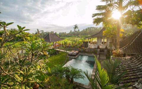1bedroom w/ rice field view in tegalalang #UCV