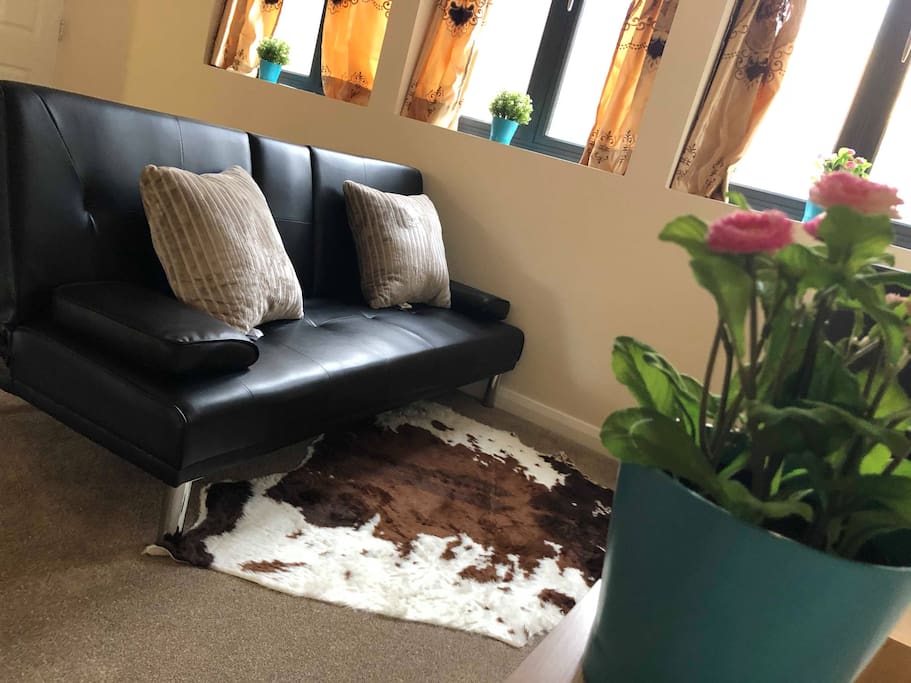 Lounge with Floor Rug
