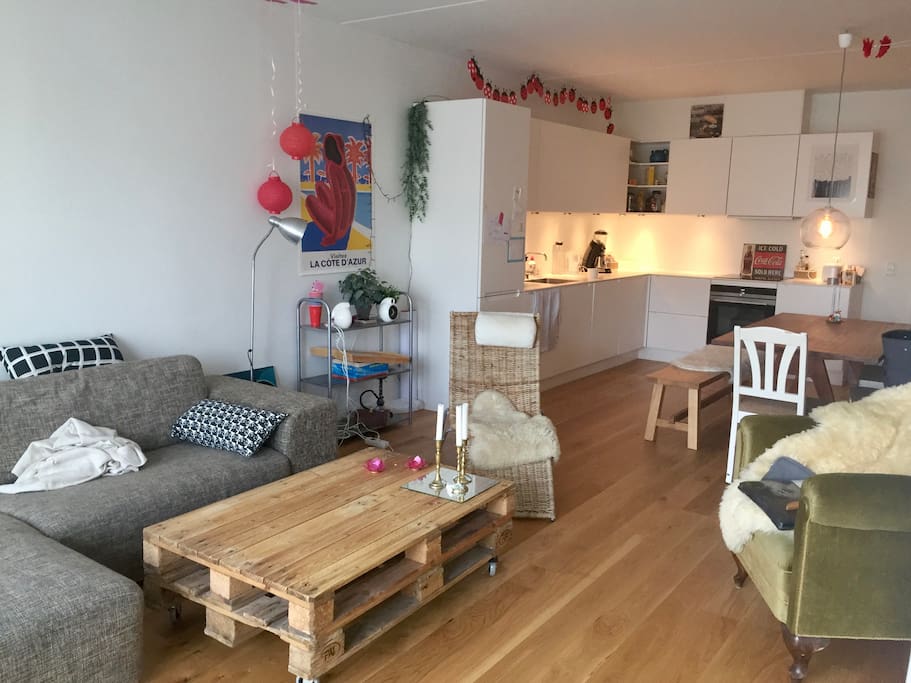 Living room + kitchen