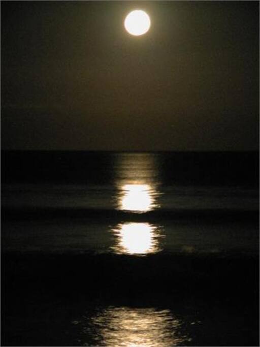 Maybe you will be lucky to book over a full moon period?