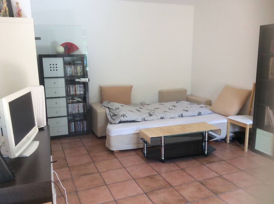 Open bedroom with double sofa bed, desk, TV, wifi