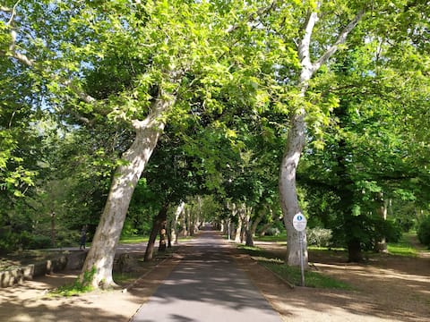 Central Keszthely Park Apartment