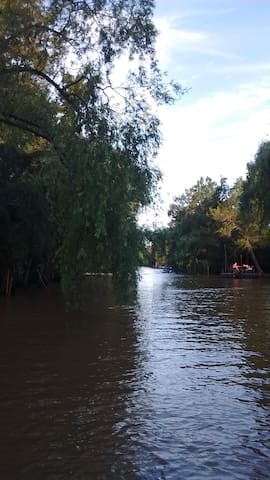Honeysuckle, a break in the Delta