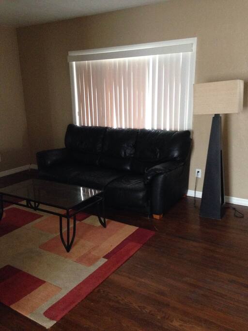 Couch folds out into bed!