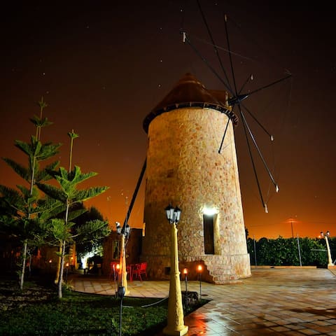 Windmill inside the orchard of Murcia