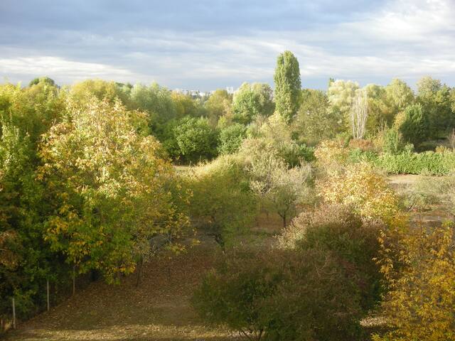 A la lisière du marais et de ses chants