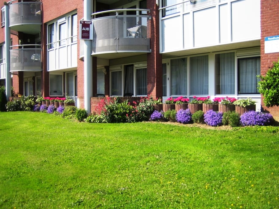 Outside view