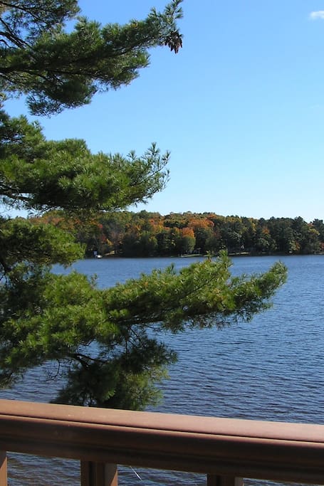 Your view from the deck off the kitchen