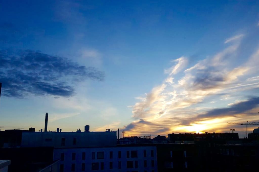 View from the living room