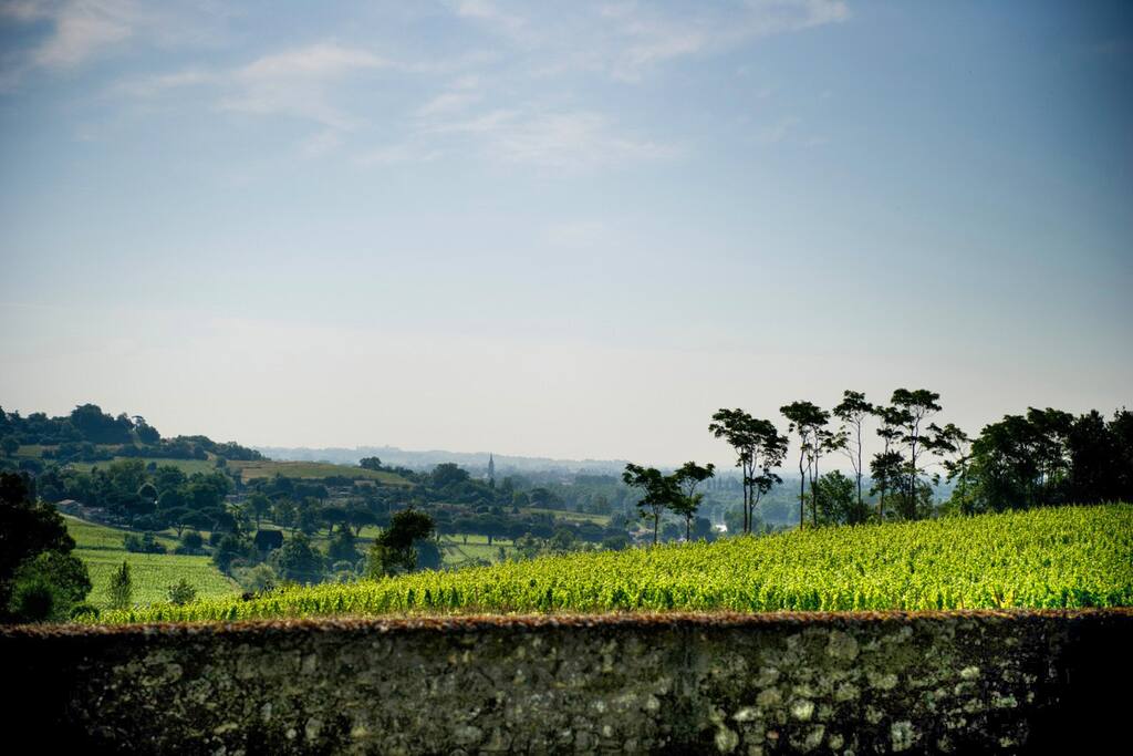 Vue du Château