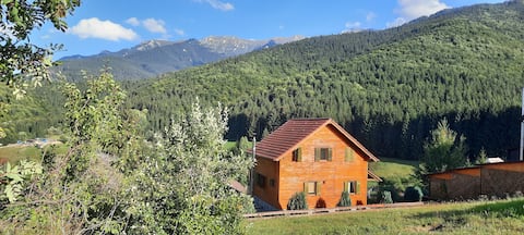 Magnolia house near Dracula Castle