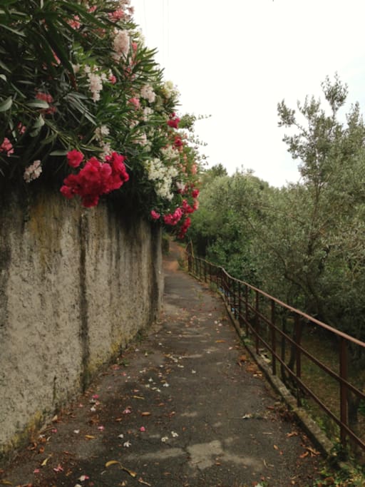 Part of the small access street