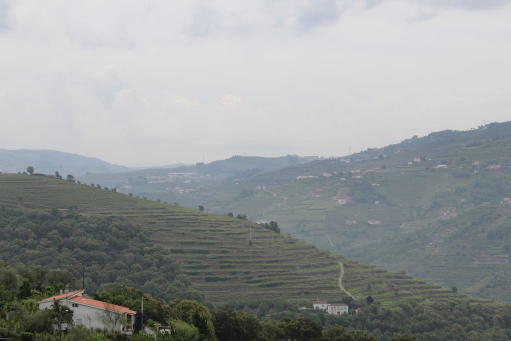 A paisagem