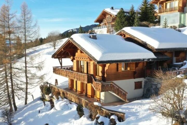 Charming Ski-in/Out Chalet w stunning view of alps
