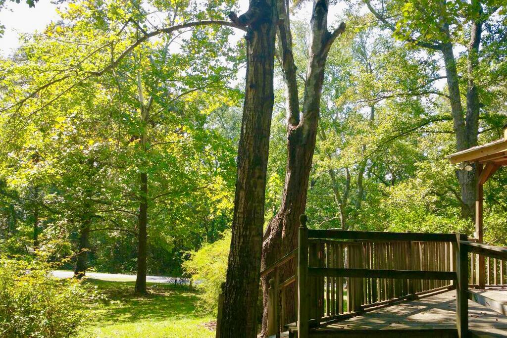 View from the porch