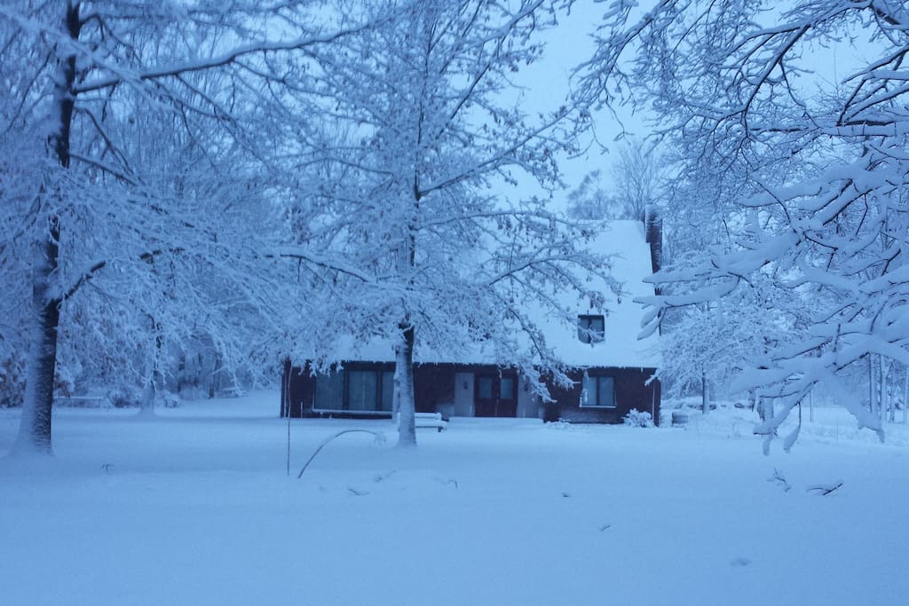 winter in Plainwell