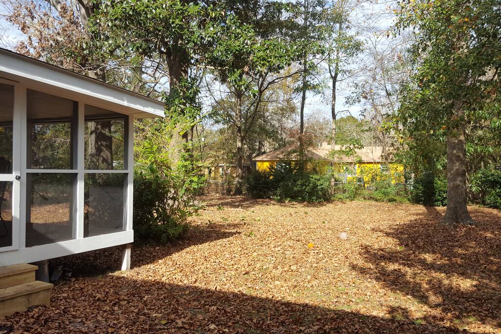 Back Yard