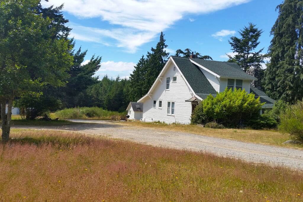 The New Green Roof!
2016