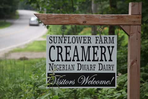 Stay on a Working Dairy Goat Farm