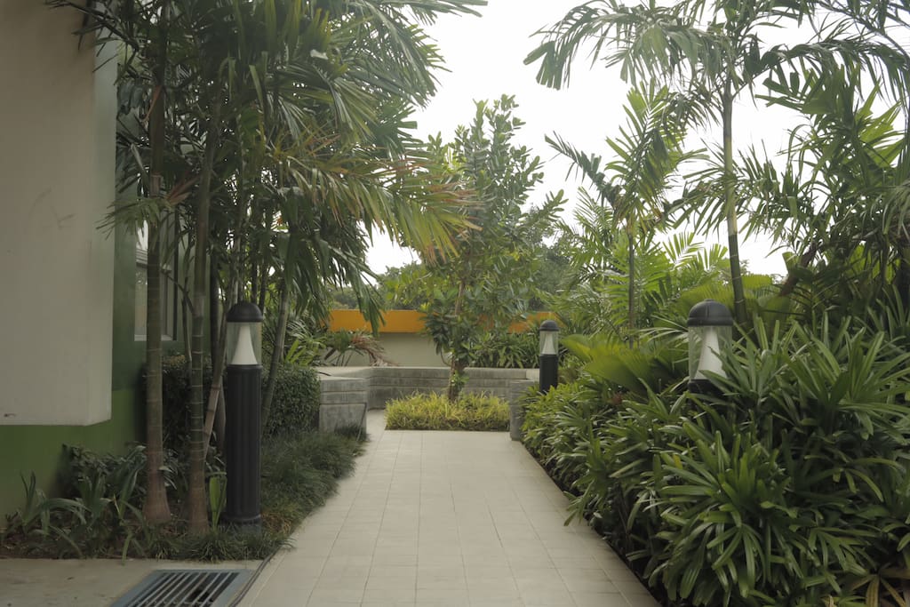 Pathway to common amenities.