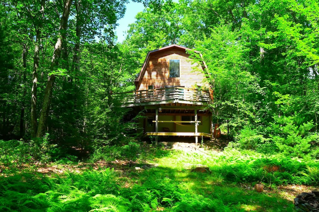 In the height of summer, the woods around you are lush. This is while we were building the lower deck.