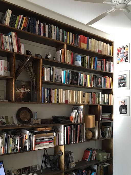The bookshelf, your host's pride and joy.