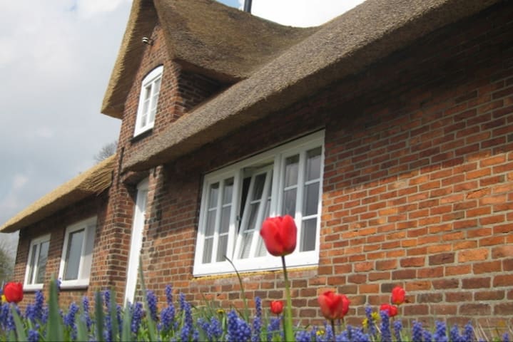 Airbnb Leck Vacation Rentals Places To Stay Schleswig