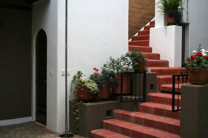 Vicuna