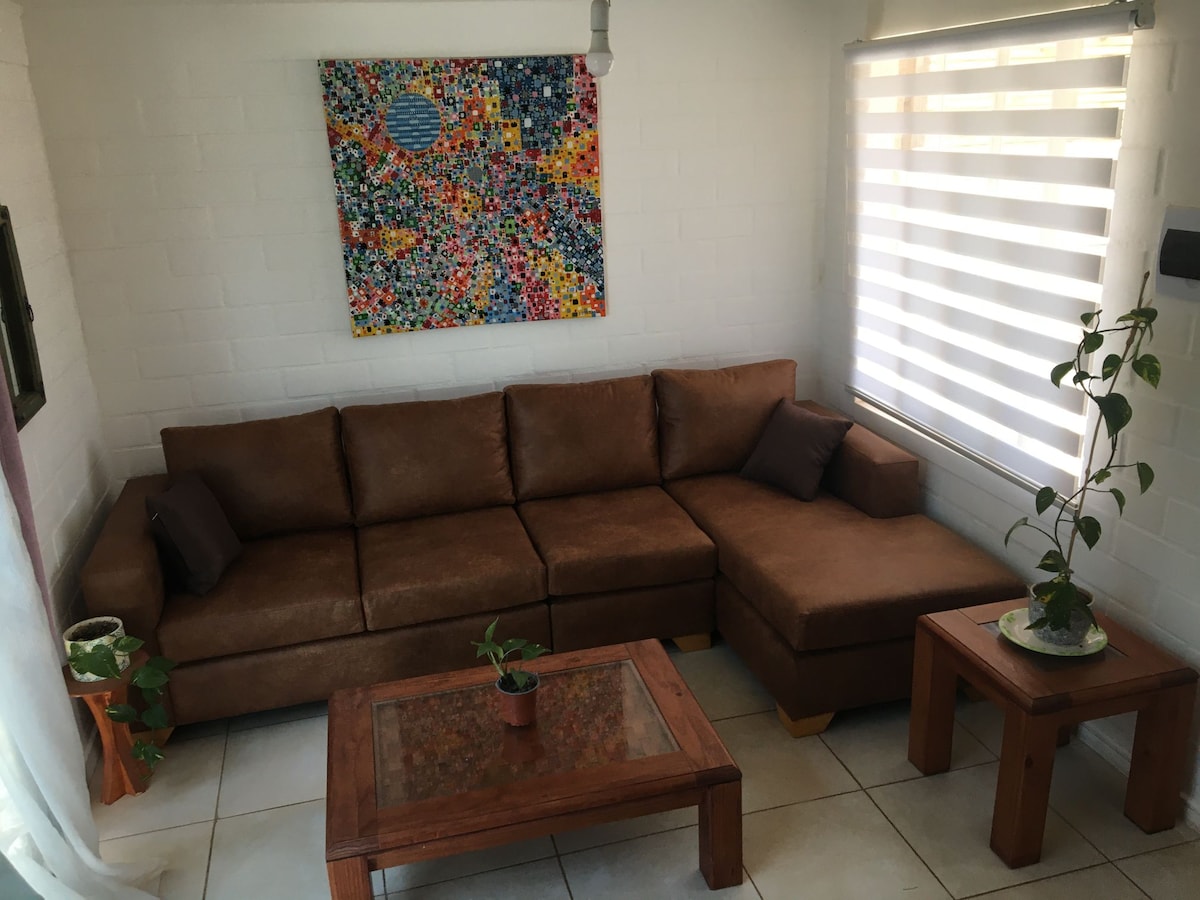 A cozy seating area features a brown sectional couch complemented by two decorative cushions. A wooden coffee table with a small potted plant rests nearby, while artwork in bright colors adorns the wall. Natural light filters through a window with modern blinds.